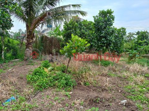 Land for sale in Phuoc Hau commune, Long Ho district, Vinh Long province. _0