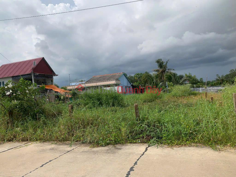 Property Search Vietnam | OneDay | Residential Sales Listings | OWNER Urgently Needs to Sell Land in Thuan My Commune, Chau Thanh District, Long An Province