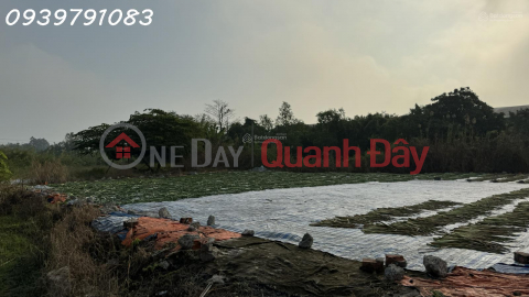 CẦN BÁN 2,14 HA ĐẤT TẠI CỤM CÔNG NGHIỆP MỸ HIỆP, ĐỒNG THÁP (CAO LÃNH - ĐỒNG THÁP CŨ) _0