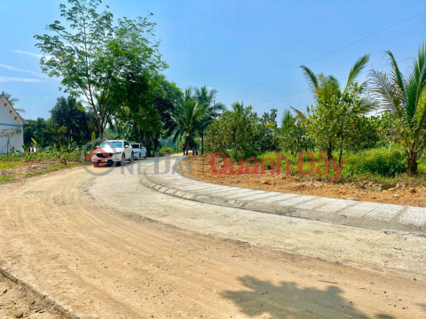 OWNER FOR SALE LOT Full residential land near industrial park - CHEAP PRICE In Trieu Son, Thanh Hoa _0