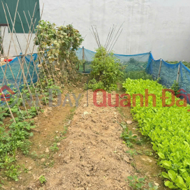 82m² land for sale in Tam Dong, Me Linh, Hanoi. The land is square-shaped and fully residential. Wide frontage. _0