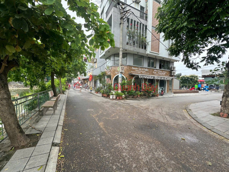 CORNER LOT! THE BEAUTY QUEEN IN THE VILLAGE Z153, UY NO DONG ANH IS OVER 5 BILLION Sales Listings