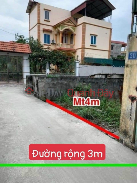 Land for sale in Sinh Lien, Binh Minh, Thanh Oai. Land area of 56m for cars to land at F0 price Sales Listings