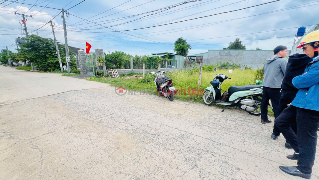 2 ADJACENT LOTS IN BIEN HOA, 10M STREET FRONTAGE - AREA 9x25m, expanding to the back 10m Sales Listings