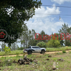 Land plot for sale in area 37-Mang Den for households at cheap price _0