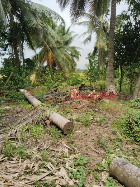 Property Search Vietnam | OneDay | Residential | Sales Listings | BEAUTIFUL LAND - PROFITABLE INVESTMENT - Owner Urgently Sells Garden Land in Long Hoa Ward, Binh Thuy, Can Tho