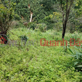 Just need to quickly sell a beautiful plot of land - GOOD PRICE located in Da Lat City, Lam Dong province _0