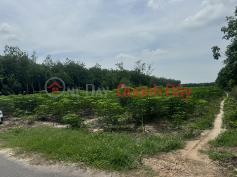 FOR OWNERS Quick SELL Lot of land, good location - good price in Lai Uyen - Bau Bang - Binh Duong _0