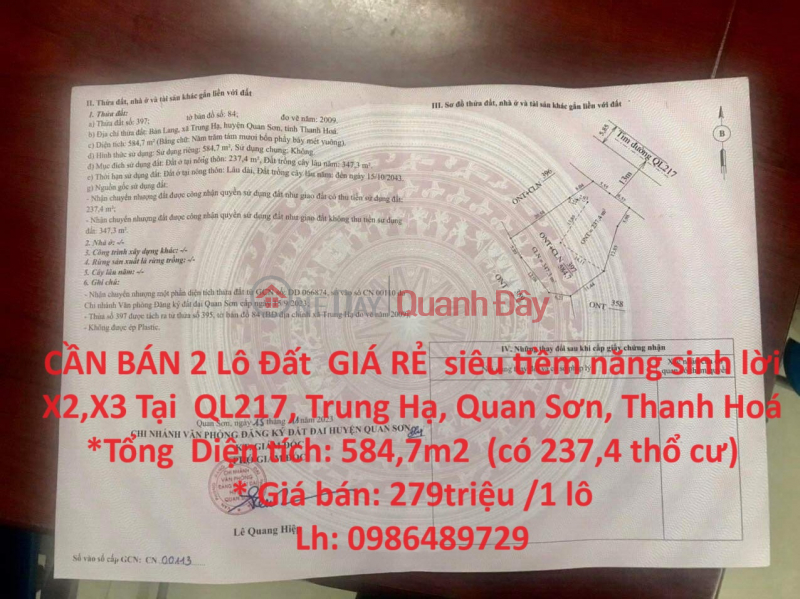 FOR SALE 2 CHEAP LAND Lots with super profit potential X2,X3 At Highway 217, Trung Ha, Quan Son, Thanh Hoa Sales Listings