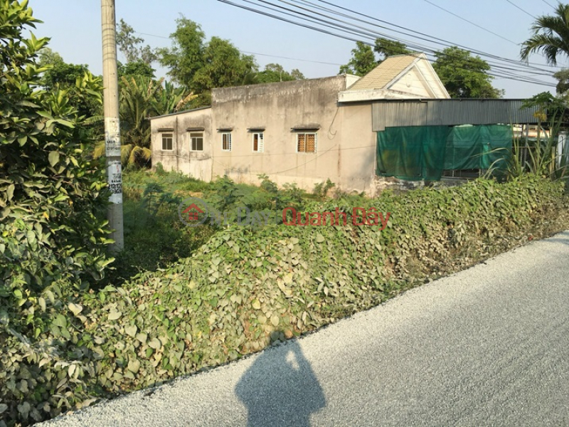 PRIME LAND - GOOD PRICE QUICK SELLING Beautiful LAND In Vinh Thanh Commune, Chau Thanh District, An Giang Vietnam, Sales, đ 2.7 Billion