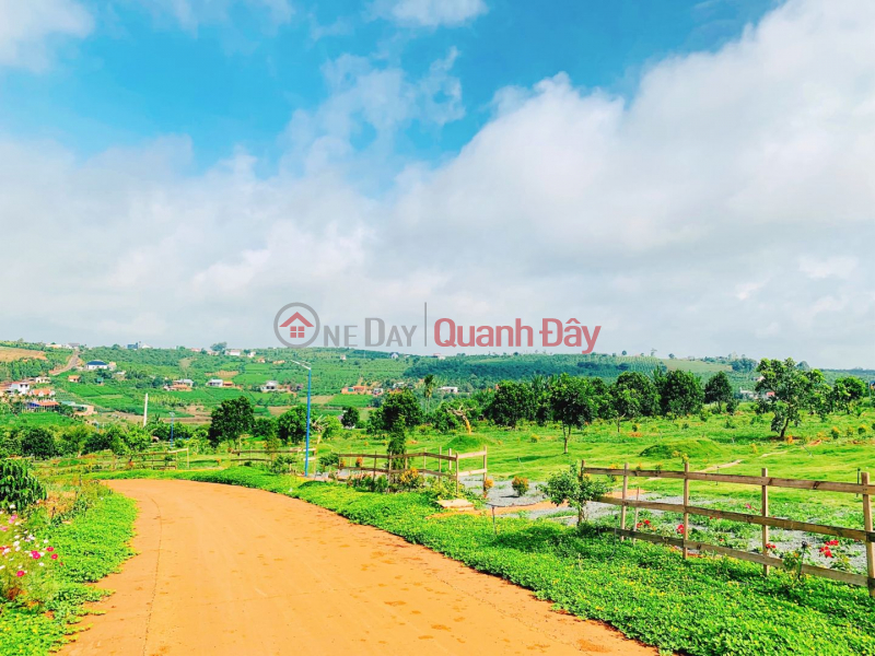 Property Search Vietnam | OneDay | , Sales Listings Forest garden land has residential area from only 1.1 million/m2