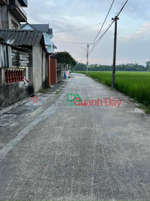 Land for sale 43.3m2 Dai Bi Uy No Dong Anh near Kim Quy park _0