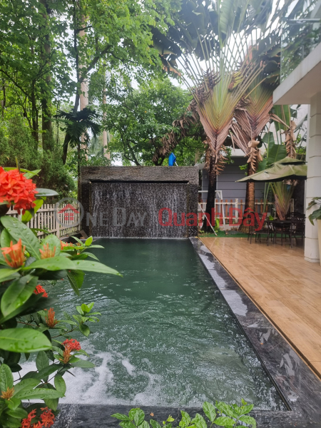 Urgent sale of single villa Flamingo Dai Lai Resort 318m2, for rent 8 - 10 million\\/day Sales Listings