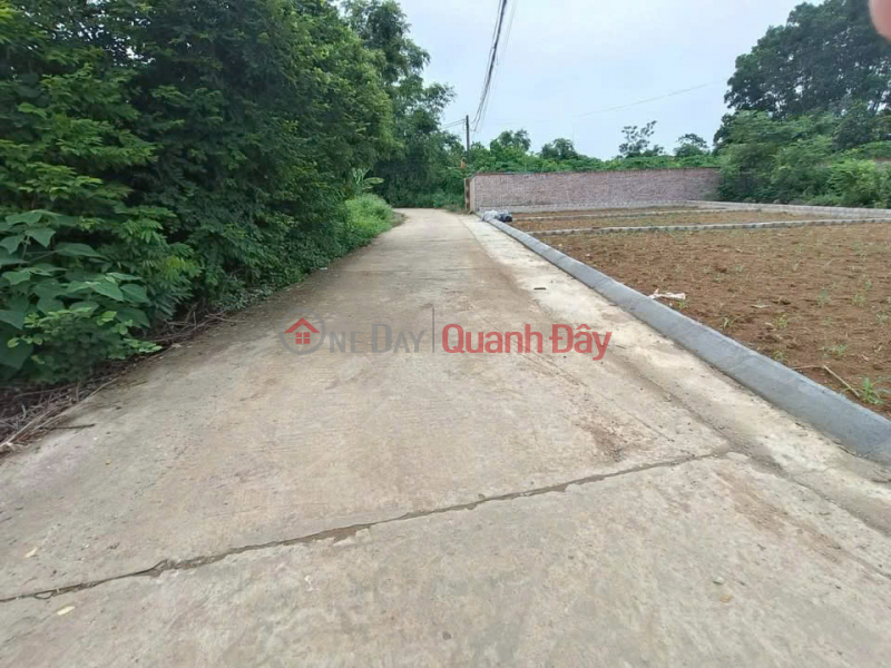 Mình chính chủ cần bán nhanh lô đất trục chính Đồi Sen sang Tân Xã Việt Nam, Bán, đ 3,27 tỷ
