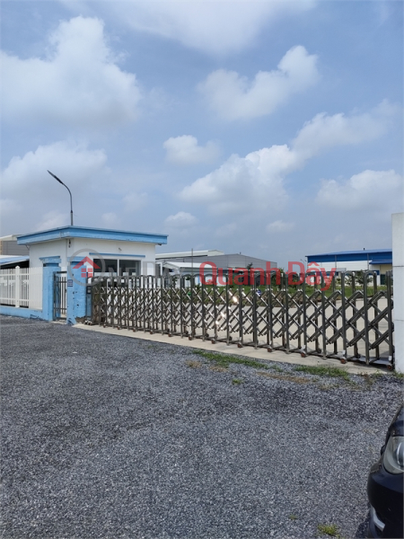 For sale 10,000m2 of commercial and service land for 50 years at the road surface of Ninh Giang District, Hai Duong Province Sales Listings