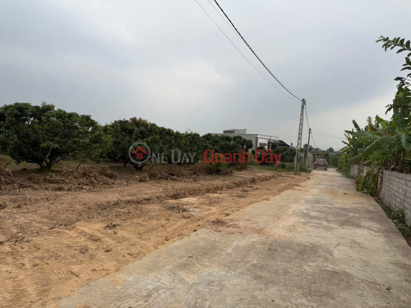 Property Search Vietnam | OneDay | Nhà ở | Niêm yết bán, SIÊU PHẨM ĐẤT NỀN - Hàng đẹp đầu tư - Đất TDP Lay - Tiềm năng tăng giá rõ ràng - Vị trí chiến lược