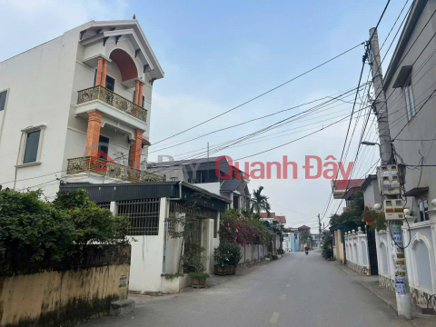 Đất bám đường trục - Vị trí trung tâm, giá trị sinh lời cao - Trục xã Thành Lợi, Vụ Bản _0