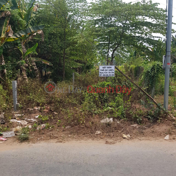 Property Search Vietnam | OneDay | Residential Sales Listings | OWNER FOR SALE Lot of Land, Beautiful Location In Long Son Ward, Tan Chau, An Giang