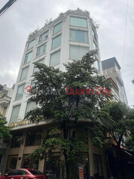 House for sale Tran Vy - Ho Tung Mau, Cau Giay - Oto Garage subdivision 110m2 9 3rd floor Airy Only 29 Billion Sales Listings