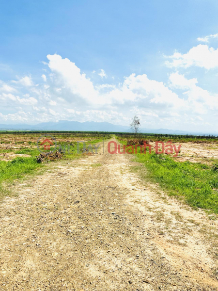 Coastal garden land priced from only 1.7 million\\/m2, Near Road 719B-Novaworld Phan Thiet | Vietnam Sales, đ 1.7 Billion