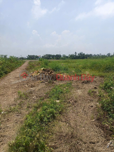 1.7xx BILLION VND – CORNER PLOT ON QUYET TIEN ROAD, HOP DUC, WITH A 6M BRIDGE ALREADY BUILT. ZALO 0567 222 555 | Vietnam, Sales | đ 1.78 Billion