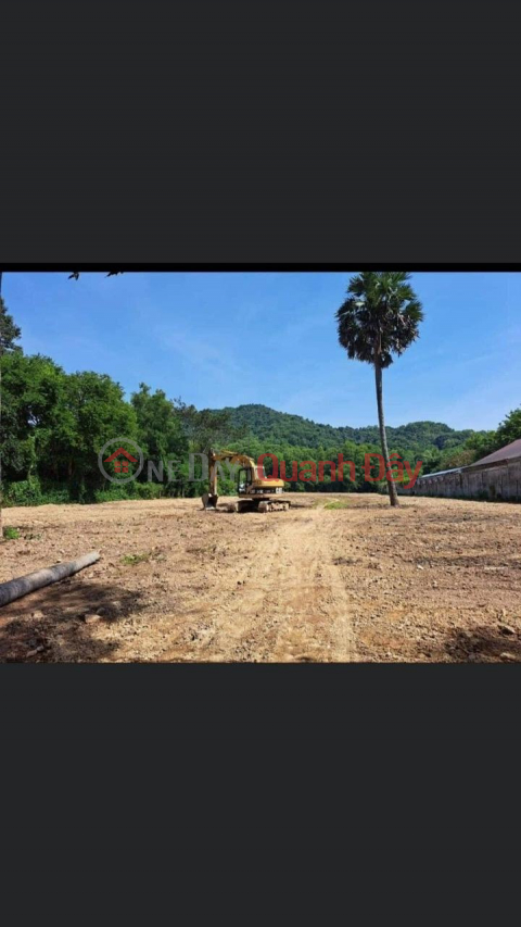 BEAUTIFUL LAND - INVESTMENT PRICE - Quick Sale In Binh An, Kien Luong, Kien Giang _0