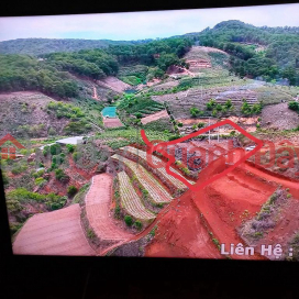 OWNER NEEDS TO SELL LAND LOT - GOOD PRICE In Da Loc Village, Xuan Tho Commune, Da Lat City, Lam Dong _0