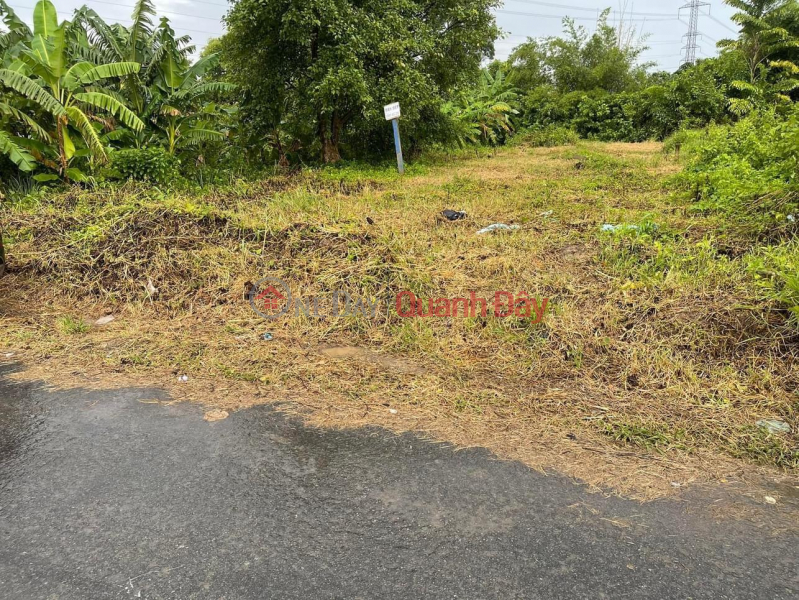 BEAUTIFUL LAND - GOOD PRICE - FULL RESIDENTIAL Land Lot For Sale In Thanh Duc - Ben Luc - Long An Sales Listings