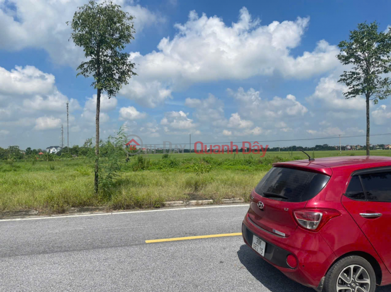 Property Search Vietnam | OneDay | Residential | Sales Listings, LAND IN HA PHUONG 4 URBAN AREA, OLD NHAN CHINH (Now Vinh Tru Commune) GREEN TREES, 2 OPEN SIDES AT LANE 2 WITHOUT ERRORS