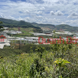 BEAUTIFUL LAND - GOOD PRICE - Land Lot For Sale Prime Location In LangBiang _0