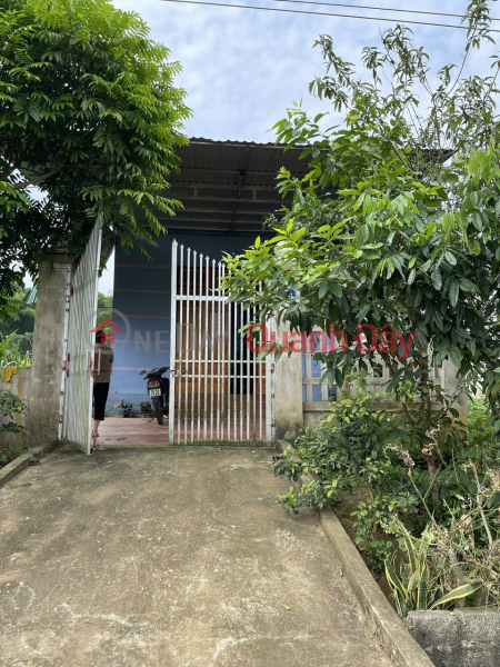 Property Search Vietnam | OneDay | Residential Sales Listings, Urgent sale of house in Phuc Thinh commune, Ngoc Lac district, Thanh Hoa, 150m2, area 6m, 520 million