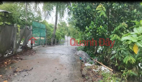 Land for sale, 120m2, residential plot on Ba Lai Street, Tan Duong, Dong Thap. Title deed available, Southeast facing, 560 million VND. _0