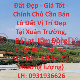 Beautiful Land - Good Price - Owner Needs to Sell Land Lot in Beautiful Location in Xuan Truong, Da Lat, Lam Dong _0