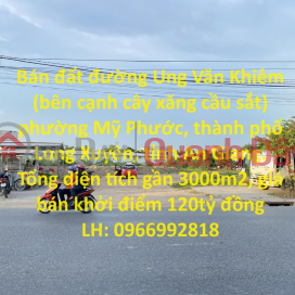 Bán đất đường Ung Văn Khiêm (bên cạnh cây xăng cầu sắt) phường Mỹ Phước, thành phố Long Xuyên, tỉnh An Giang. _0