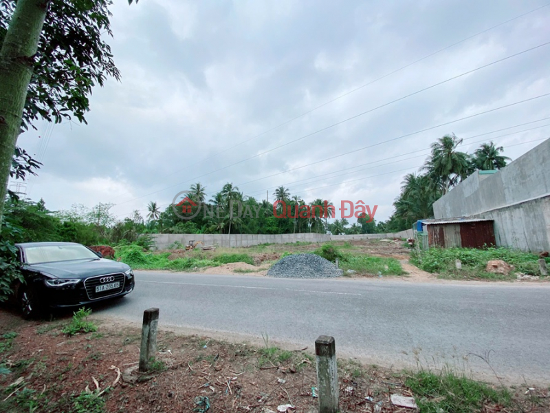 Property Search Vietnam | OneDay | Residential, Sales Listings, PRIME LAND – GREAT PRICE – OWNER NEEDS TO SELL URGENTLY Located in Thanh Tan Commune, Mo Cay Bac District (now Ben Tre Ward),Ben Tre City