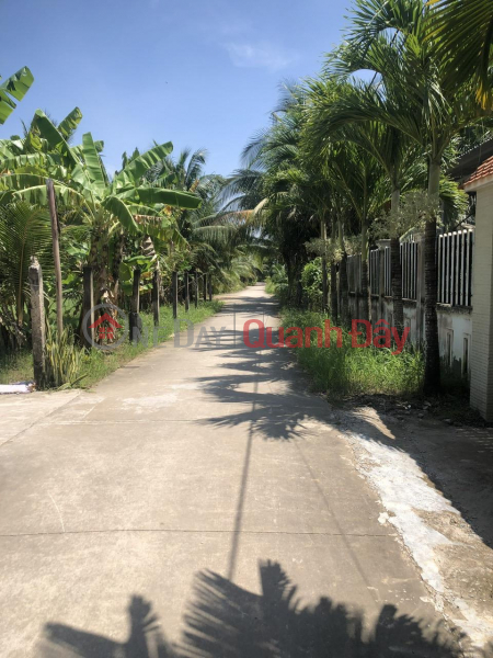 Property Search Vietnam | OneDay | Residential Sales Listings, OWNER NEEDS TO SELL LAND LOT WITH FREE HOUSE IN Vang Quoi Dong Commune, Binh Dai District, Ben Tre Province