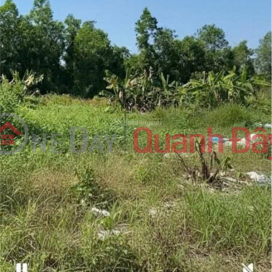 CẦN CHO THUÊ LÔ ĐẤT nông nghiệp để trồng trọt, chăn nuôi TẠI Xã Phạm Văn Hai, Bình Chánh, HCM _0