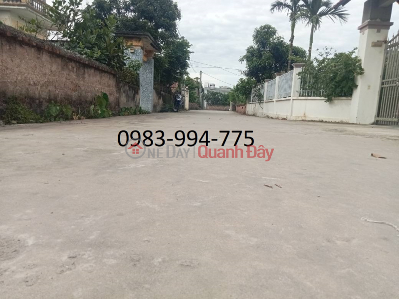 Property Search Vietnam | OneDay | Residential | Sales Listings | LAND FOR SALE IN GIA BINH. BAC NINH. 100M2 * FRONTAGE 4.5M * 1.65 BILLION. CAR ROAD, FULL RESIDENTIAL LAND.