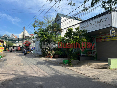 HOT! OWN A BEAUTIFUL REAL ESTATE in Quarter 3, Trang Dai Ward - Bien Hoa - Dong Nai _0