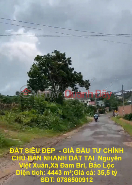 ĐẤT SIÊU ĐẸP - GIÁ ĐẦU TƯ CHÍNH CHỦ BÁN NHANH ĐẤT TẠI Nguyễn Việt Xuân,Xã Đam Bri, Bảo Lộc Niêm yết bán
