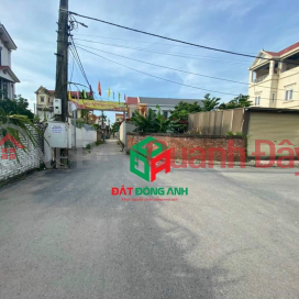 LAND FOR SALE IN DONG VILLAGE, NGUYEN KHE - CAR TO LAND - LESS THAN 2 BILLION _0