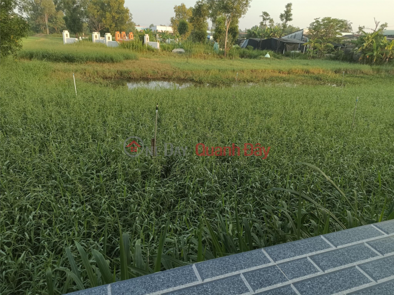 Property Search Vietnam | OneDay | Residential | Sales Listings FOR QUICK SALE OF OWNER'S Land Plot Prime Location - CHEAP PRICE - In Go Cong Tay District, Tien Giang