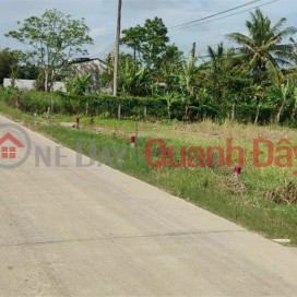 The owner needs to sell quickly 02 lots of land adjacent to the frontage in Chau Thanh, Kien Giang _0