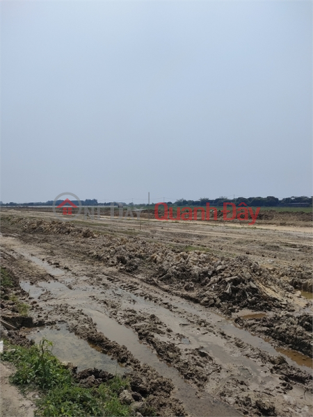 Bán 7000m2 đất kho nhà xưởng 50 năm tại Như Quỳnh, Văn Lâm, Tỉnh Hưng Yên Việt Nam | Bán, đ 250 triệu