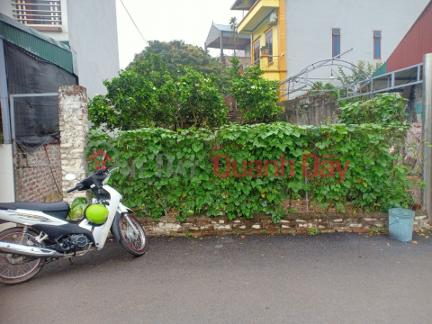 Owner Needs to Sell Land in Dan Phuong, Hanoi Super Cheap _0