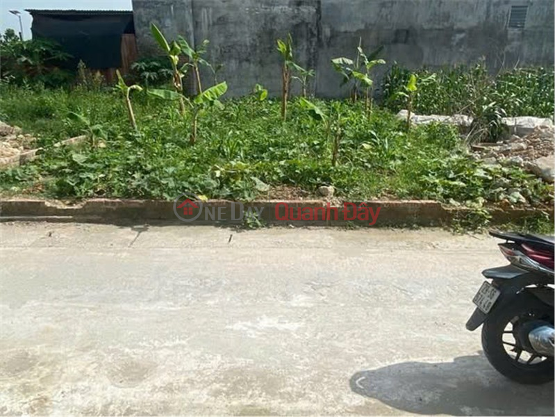 đ 10 triệu | ĐẤT ĐẸP - GIÁ TỐT - THỔ CƯ 100% Tại ĐỨC HẬU - ĐA PHÚC - SÓC SƠN - HÀ NỘI