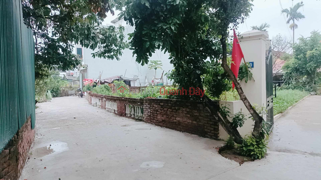 Property Search Vietnam | OneDay | Nhà ở, Niêm yết bán đất ĐÔNG DƯ( GIA LÂM) 300 m2 , vuông như tờ A4 , ngõ ô tô thông.. giá đầu tư.(rẻ bất ngờ)