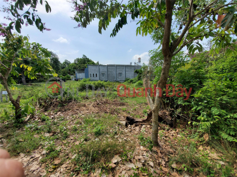 BEAUTIFUL LOCATION - GOOD PRICE - Land Lot For Quick Sale In Cu Chi, near Tay Bac Industrial Park _0