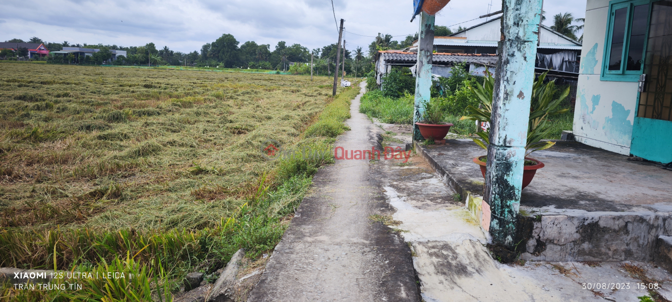 Property Search Vietnam | OneDay | Residential | Sales Listings Urgent sale of Tan Tru plot of land with bank loan price of 1 billion reduced to 750 million