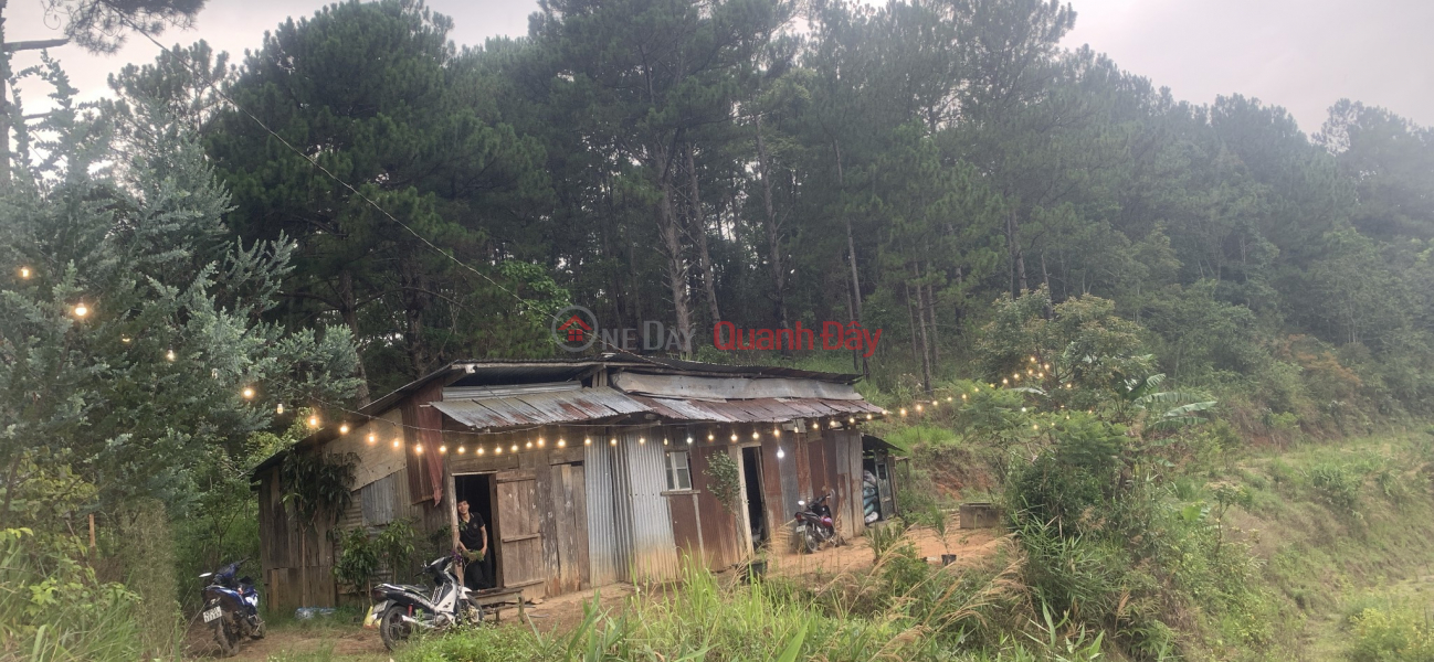 BEAUTIFUL LAND - GOOD PRICE - OWNER SELLING LOT OF LOT IN Da Lat City, Lam Dong Province Sales Listings